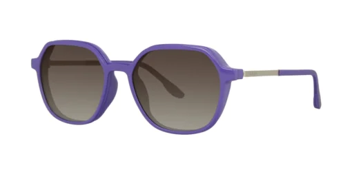 CLIP-ON sun cover 0078C1