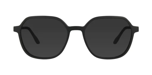 CLIP-ON sun cover 0078C2