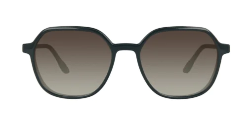 CLIP-ON sun cover 0078C3