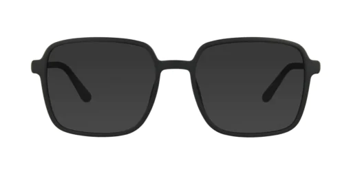 CLIP-ON sun cover 0079C1