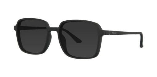 CLIP-ON sun cover 0079C1