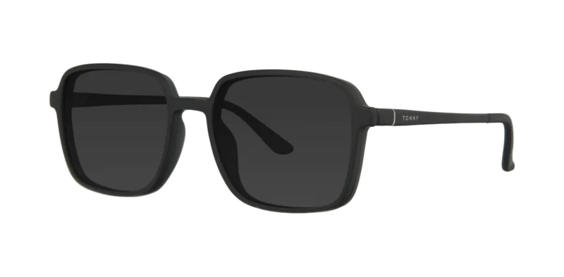 CLIP-ON sun cover 0079C1