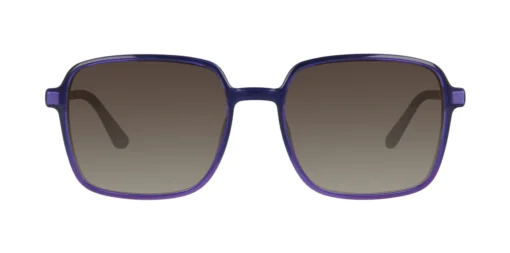 CLIP-ON sun cover 0079C2