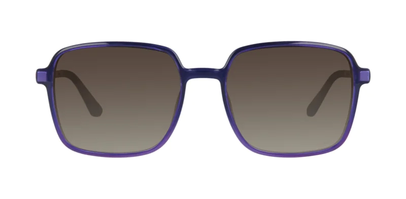 CLIP-ON sun cover 0079C2