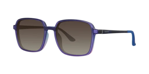 CLIP-ON sun cover 0079C2