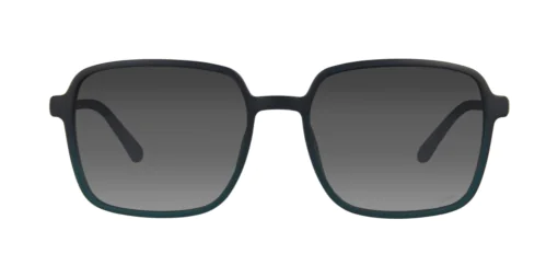 CLIP-ON sun cover 0079C3