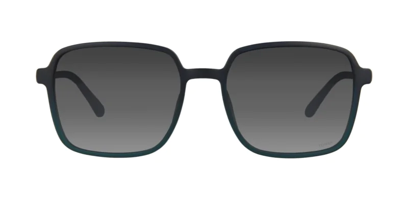 CLIP-ON sun cover 0079C3