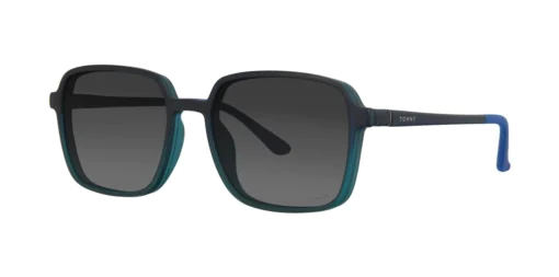 CLIP-ON sun cover 0079C3