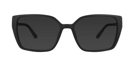 CLIP-ON sun cover 0080C3