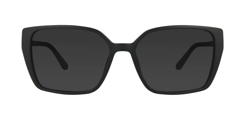 CLIP-ON sun cover 0080C3