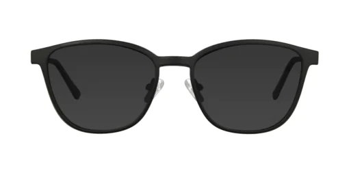 CLIP-ON sun cover 0087