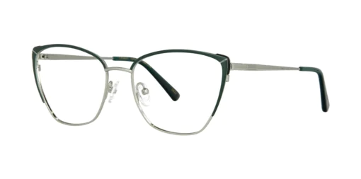 Optical frame with clip-on TONNY 0042C4