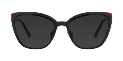 CLIP-ON sun cover 0042