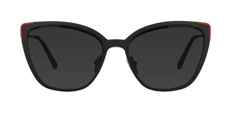 CLIP-ON sun cover 0042