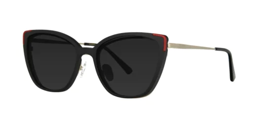 CLIP-ON sun cover 0042