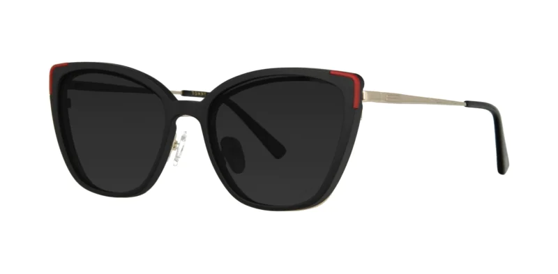 CLIP-ON sun cover 0042