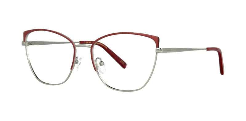 Optical frame with clip-on TONNY 0043C4