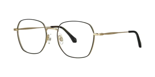 Optical frame TONNY Titanium 254C1