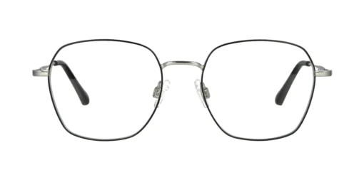 Optical frame TONNY Titanium 254C2