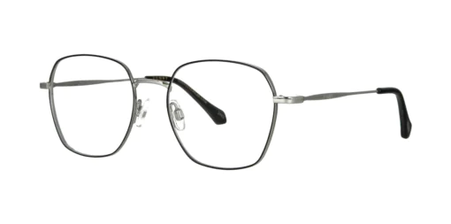 Optical frame TONNY Titanium 254C2