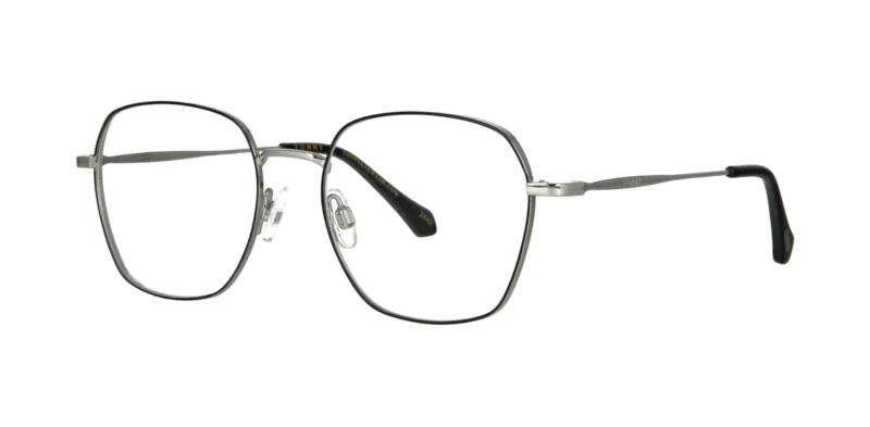 Optical frame TONNY Titanium 254C2