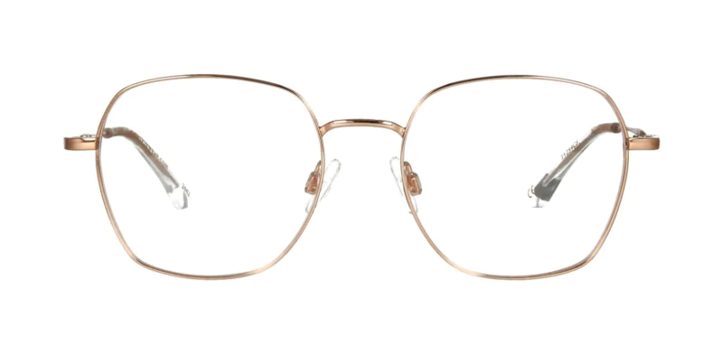 Optical frame TONNY Titanium 254C3