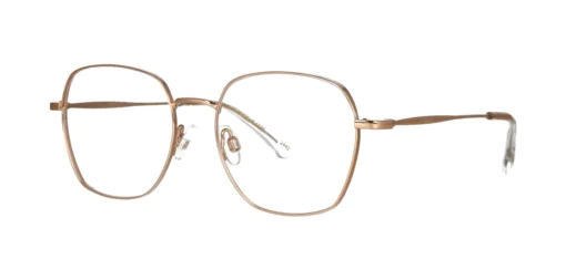 Optical frame TONNY Titanium 254C3