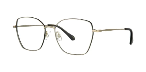 Optical frame TONNY Titanium 255C1