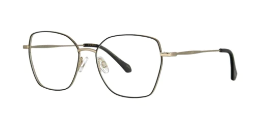 Optical frame TONNY Titanium 255C3
