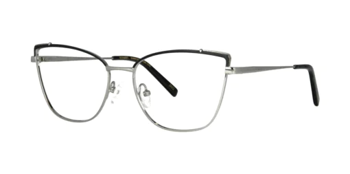Optical frame with clip-on TONNY 0041C1