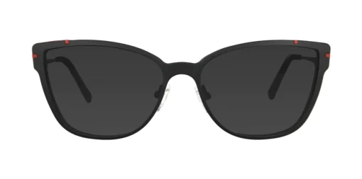 CLIP-ON sun cover 0041