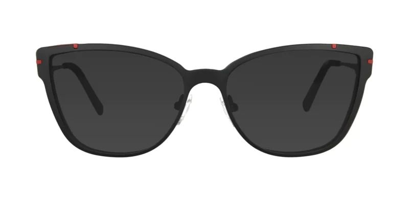 CLIP-ON sun cover 0041