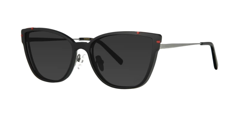 CLIP-ON sun cover 0041