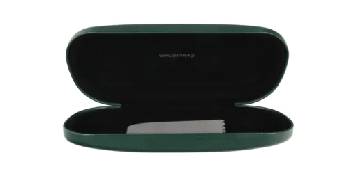 Case for glasses E-8.4 green