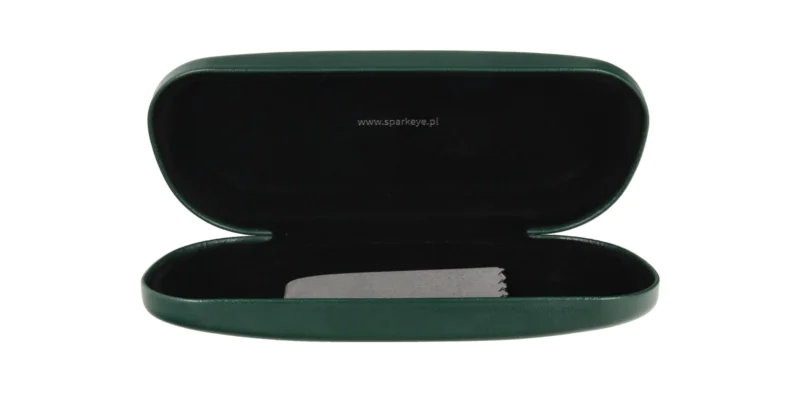 Case for glasses E-8.4 green