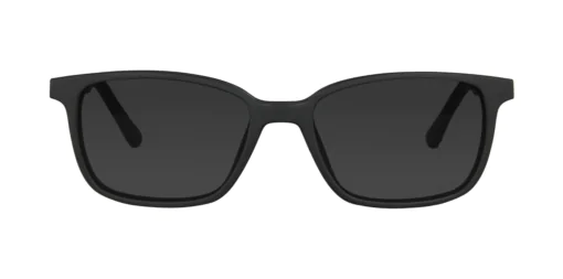 CLIP-ON sun cover 0076C1