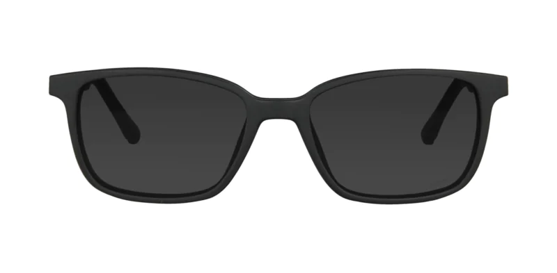 CLIP-ON sun cover 0076C1