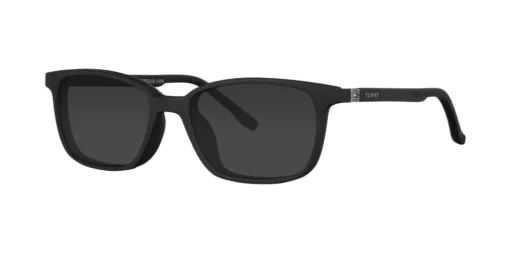 CLIP-ON sun cover 0076C1