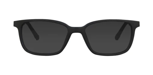 CLIP-ON sun cover 0076C3