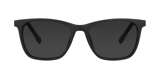 CLIP-ON sun cover 0077C1