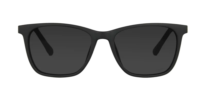 CLIP-ON sun cover 0077C1