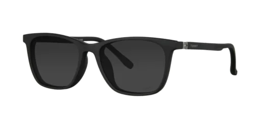 CLIP-ON sun cover 0077C1