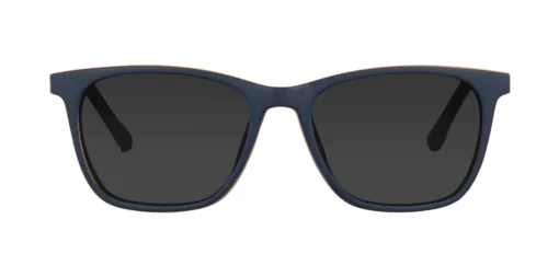 CLIP-ON sun cover 0077C2