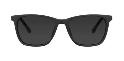 CLIP-ON sun cover 0077C3