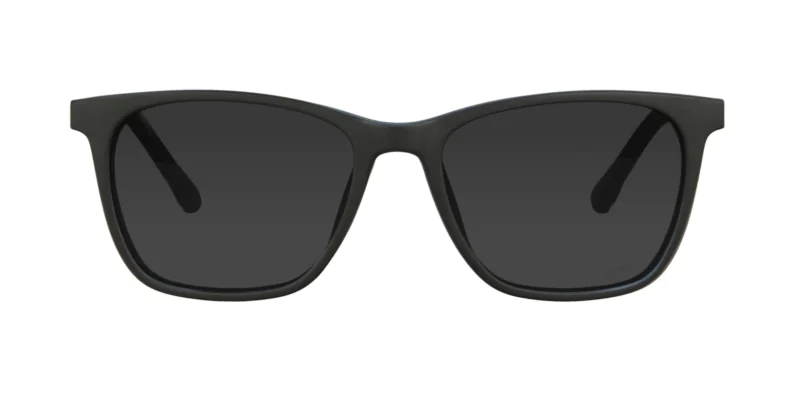 CLIP-ON sun cover 0077C3