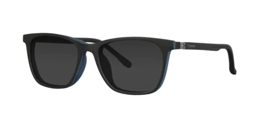 CLIP-ON sun cover 0077C3