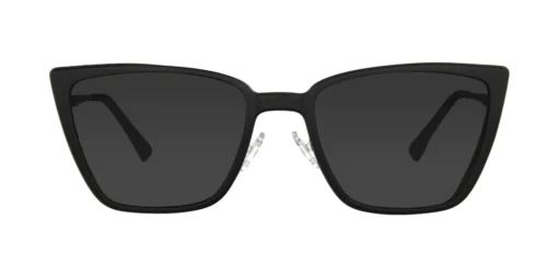 CLIP-ON sun cover 0081