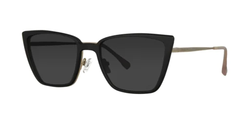 CLIP-ON sun cover 0081