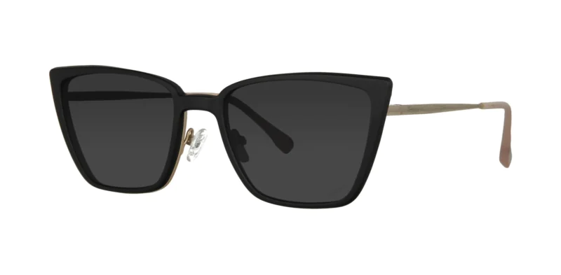 CLIP-ON sun cover 0081