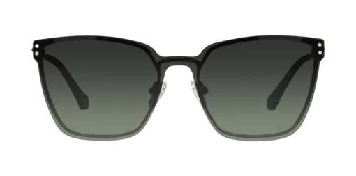 CLIP-ON sun cover 48415AC1